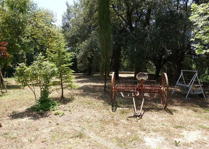 La Collina di Piero